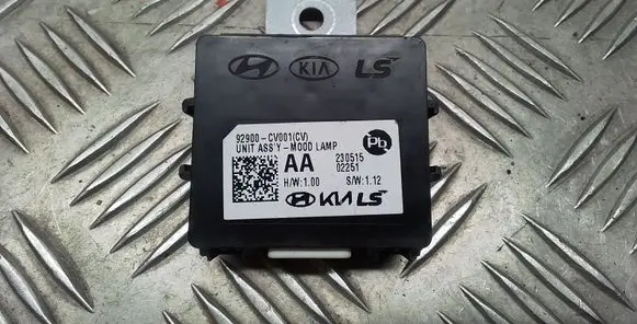Light module LCM