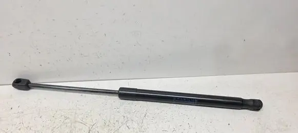 Tailgate/trunk strut/damper