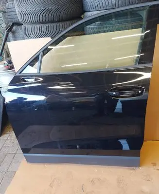 Volkswagen Tiguan Front door 
