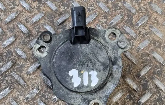 Cadillac Escalade Valve oil control 12585995