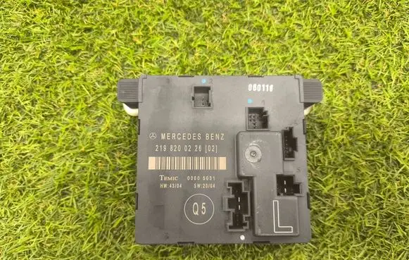 Mercedes-Benz CLS C219 Door control unit/module 2198200226 00005031