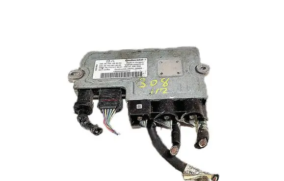 Peugeot 307 Other control units/modules 9675015880