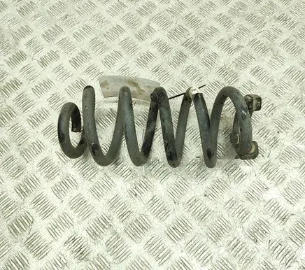 Skoda Enyaq iV Rear coil spring 1EA511103E