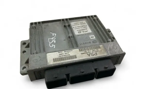 Engine control unit/module ECU