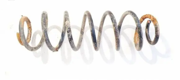 Rear coil spring