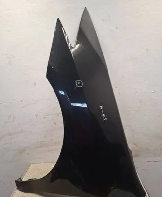 Renault Laguna III Fender