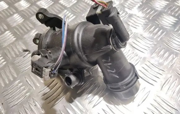 Thermostat/thermostat housing