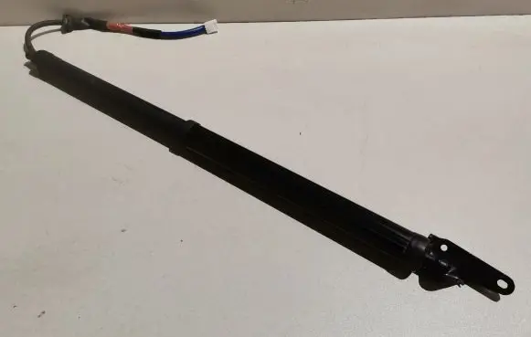 Tailgate strut