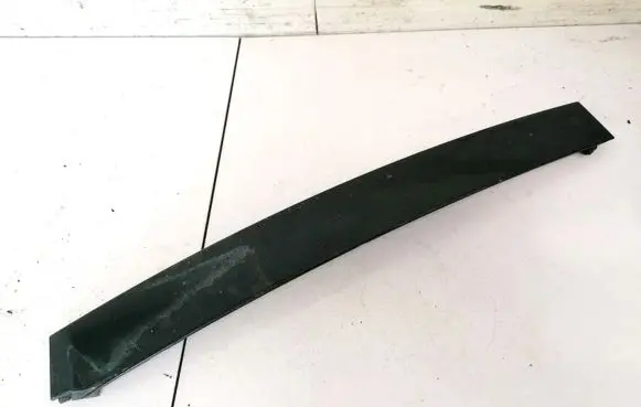 Dodge Caravan Front door glass trim molding 