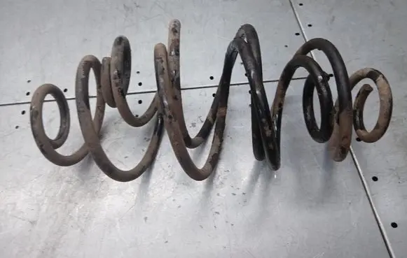 Rear coil spring