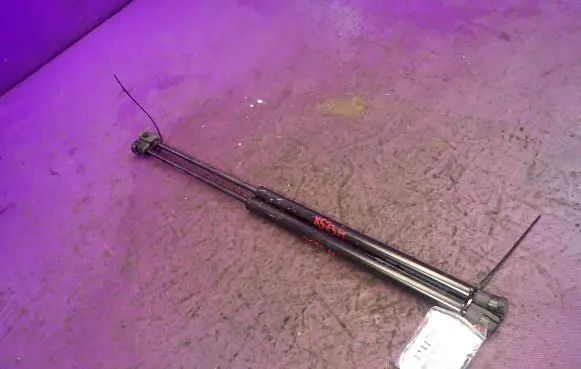 Tailgate strut