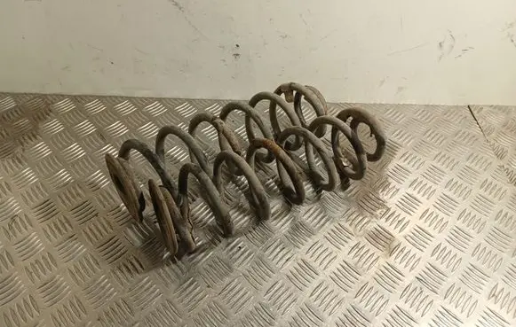 Rear coil spring