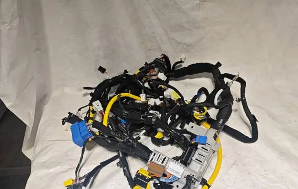 Hyundai Ioniq 5 Left interior wiring harness 91102GI600D M411988U 20230426