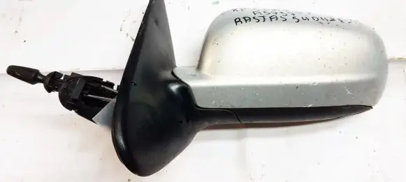 Seat Toledo II (1M) Plastic wing mirror trim cover E1010509