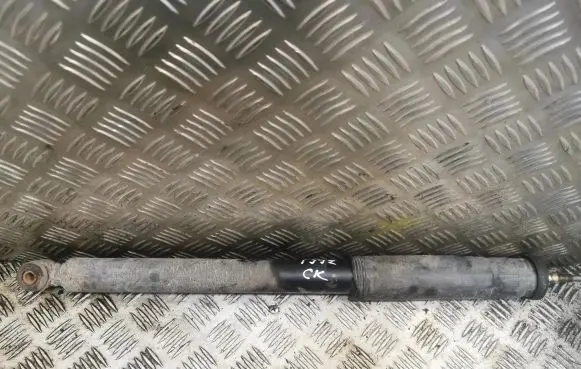 Rear shock absorber/damper