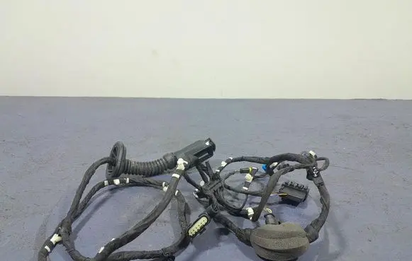 BMW X5 E53 Other wiring loom 5A5B6D5