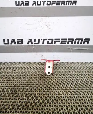 KIA Rio Rear door lower hinge