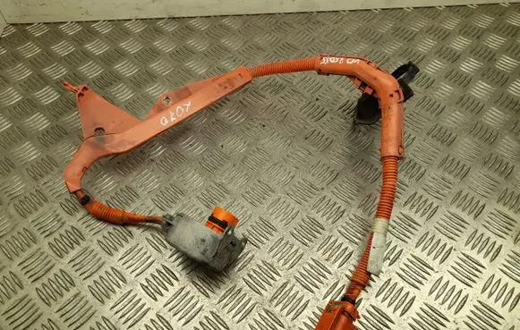 Lexus UX Other wiring loom 2978EA