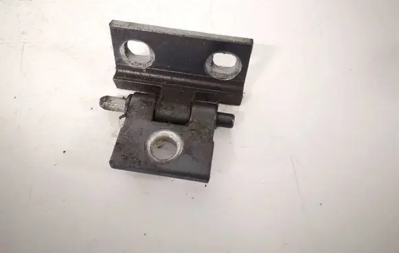 Volvo V70 Rear door lower hinge 