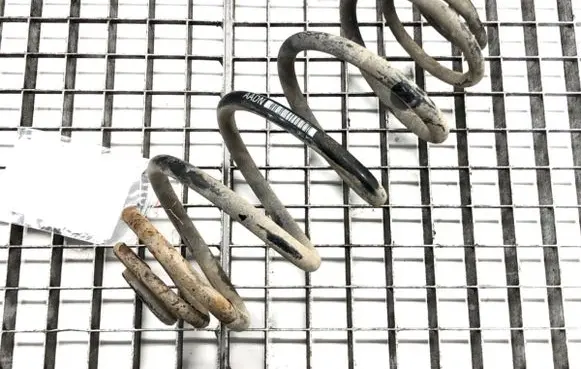 Rear coil spring