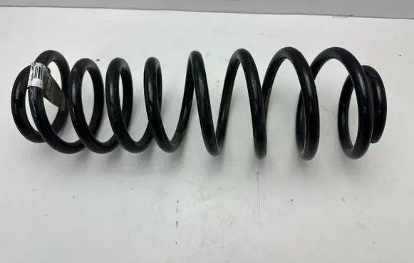 Ford Mustang V Rear coil spring BR335560AB