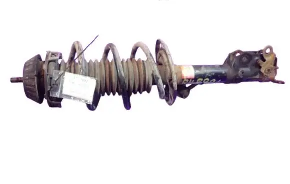 Front shock absorber with coil spring