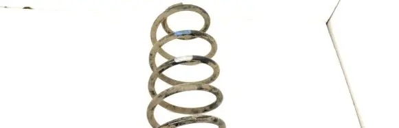 Toyota Land Cruiser (J150) Rear coil spring 4823160G21