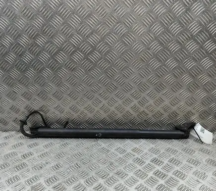 KIA Sorento IV Tailgate/trunk strut/damper 81830P2100