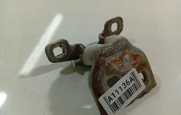 Dacia Sandero Rear door lower hinge 