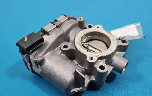 Throttle body valve