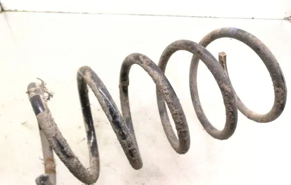 Renault Scenic I Front coil spring