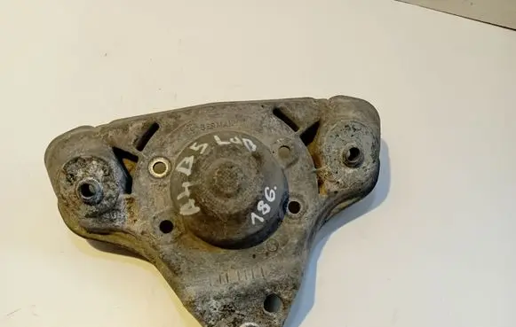 Coil spring mount