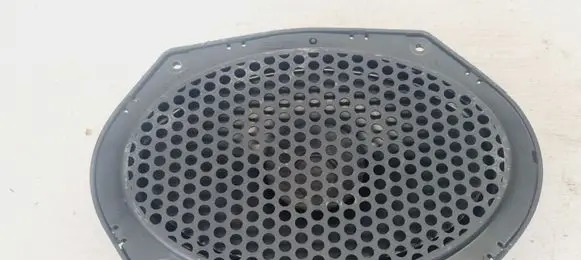 Rear door speaker