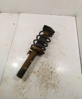 Volkswagen Tiguan Front shock absorber with coil spring