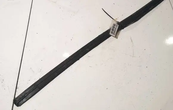 Volkswagen PASSAT B6 Rubber seal front coupe door