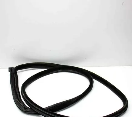 BMW 6 F06 Gran coupe Rubber seal rear door 7275316