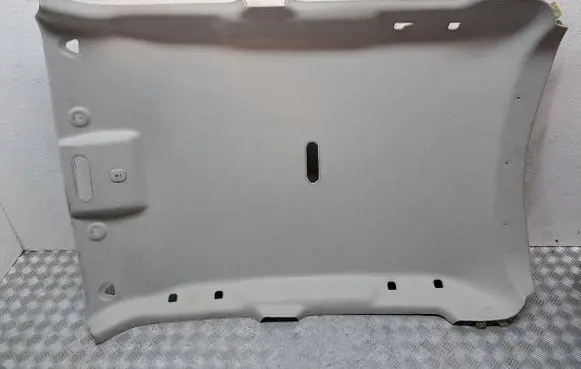 Nissan Juke I F15 Headlining 739B0BV14D