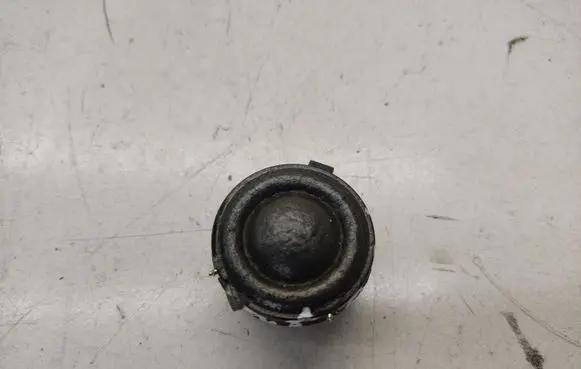 Nissan Qashqai Front door high frequency speaker 28148JD100