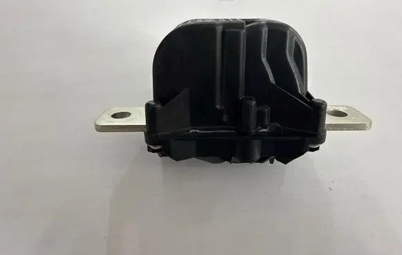 Tesla Model 3 Fuse 109515400C 1064689001