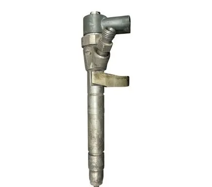 Mercedes-Benz S W220 Fuel injector A6130700887