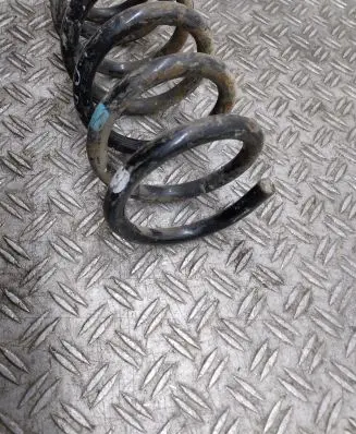 Opel Antara Rear coil spring