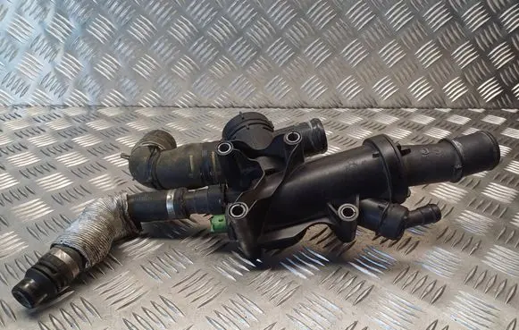 Thermostat/thermostat housing