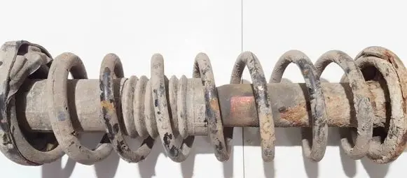 Honda Accord Rear coil spring