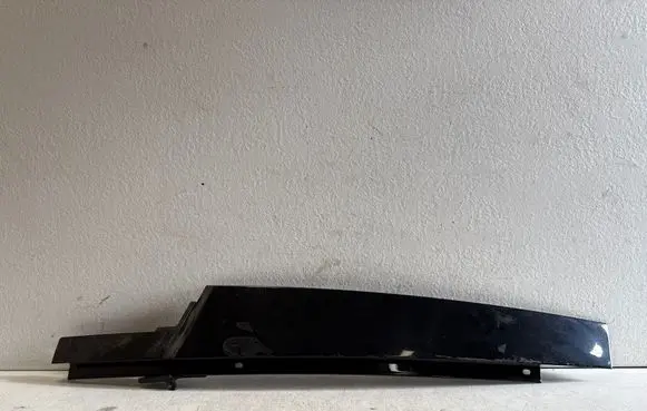 BMW X6 F16 Front door glass trim molding 7317790 19765810