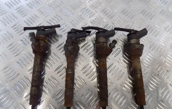 Mini Cooper Countryman R60 Fuel injector