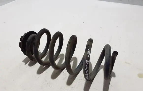 Nissan Qashqai Rear coil spring 550204EA4B