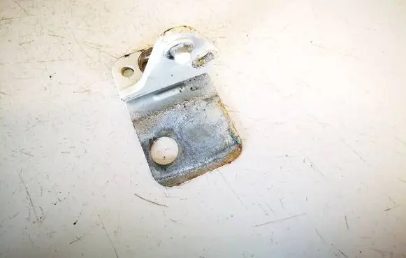 Porsche Cayenne (9PA) Rear door lower hinge