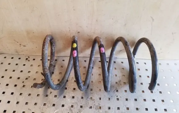 Front coil spring