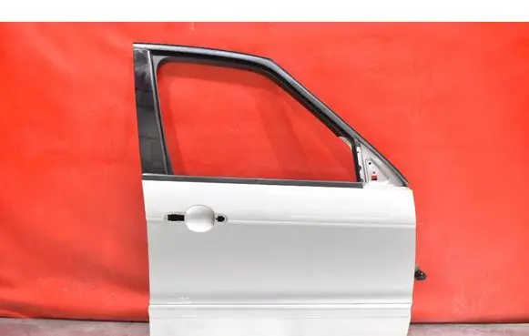 Ford S-MAX Front door