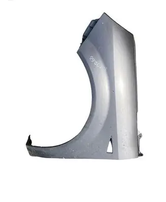 Renault Scenic II - Grand scenic II Fender